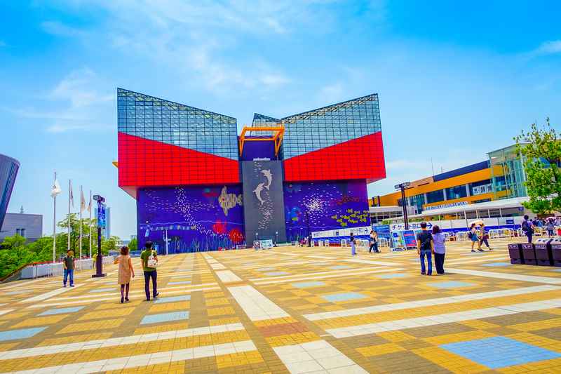 Explora un acuario fascinante en Japón, donde puedes descubrir la vida marina en su máximo esplendor durante tus viajes juveniles a Japón.